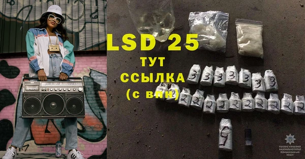 ПСИЛОЦИБИНОВЫЕ ГРИБЫ Осинники