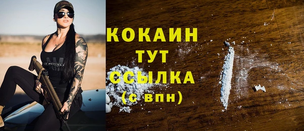 ПСИЛОЦИБИНОВЫЕ ГРИБЫ Осинники