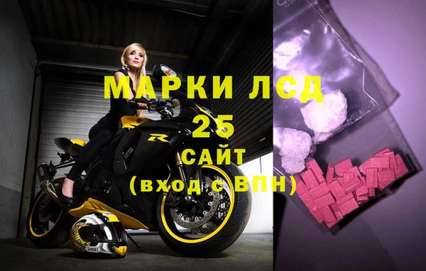 ПСИЛОЦИБИНОВЫЕ ГРИБЫ Осинники
