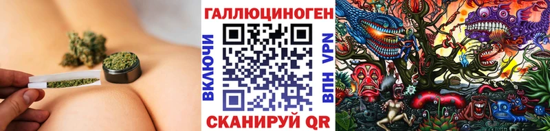Галлюциногенные грибы Psilocybe Сафоново